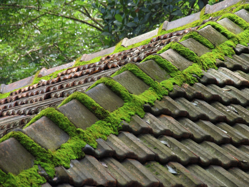 Démoussage de toiture à Aumagne